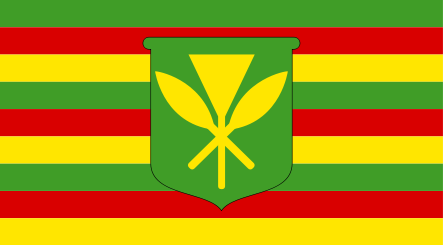 The Royal Standard Of King Kanaka Kalakaua Flag 3' x 5' Hawaii KINGDOM BANNER 