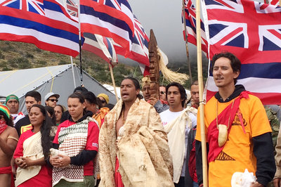 Mauna Kea Protectors 1